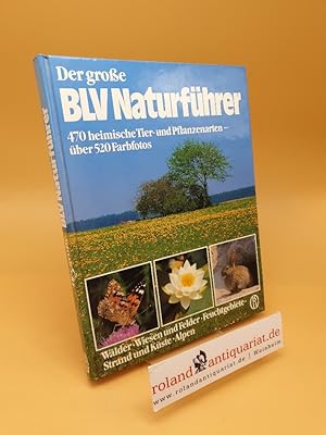 Seller image for Der grosse BLV-Naturfhrer ; Wlder, Wiesen u. Felder, Feuchtgebiete, Strand u. Kste, Alpen for sale by Roland Antiquariat UG haftungsbeschrnkt