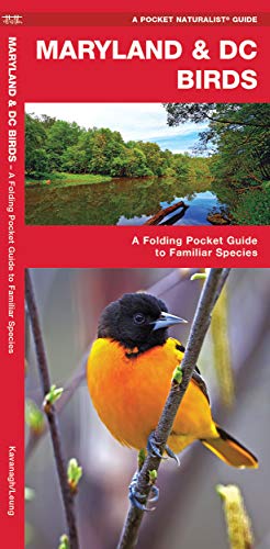 Seller image for Maryland and DC Birds: A Folding Pocket Guide to Familiar Species for sale by Pieuler Store