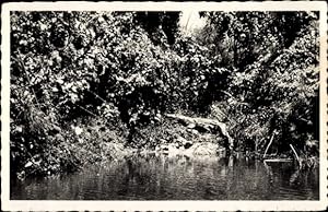 Ansichtskarte / Postkarte Pointe Noire, Caiman au repos sur les bords de la riviere Loeme