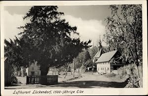 Ansichtskarte / Postkarte Lückendorf Oybin in Sachsen, Blick auf die 1500 jährige Eibe nahe der K...