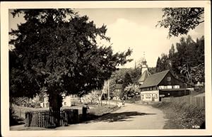 Ansichtskarte / Postkarte Lückendorf Oybin in Sachsen, Die 1500 jährige Eibe, Straßenpartie im Ort