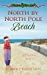 Immagine del venditore per North by North Pole Beach [Soft Cover ] venduto da booksXpress