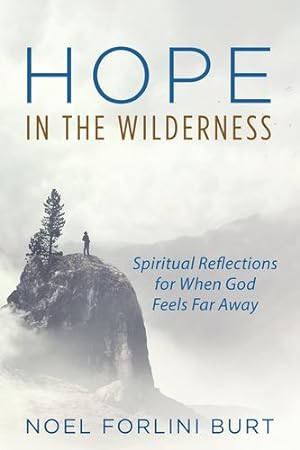 Bild des Verkufers fr Hope in the Wilderness: Spiritual Reflections for When God Feels Far Away [Soft Cover ] zum Verkauf von booksXpress
