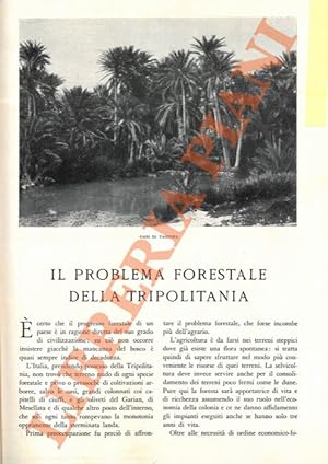 Il problema forestale della Tripolitania.