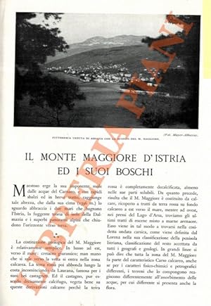 Il Monte Maggiore d'Istria ed i suoi boschi.