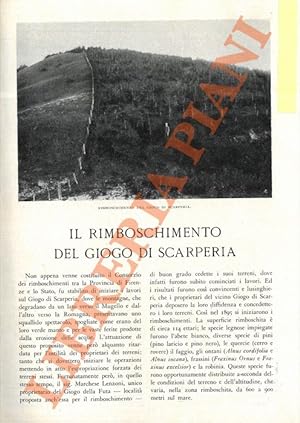 Immagine del venditore per Il rimboschimento del Giogo di Scarperia. venduto da Libreria Piani