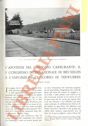 L'apoteosi del carbonio carburante: il I° Congresso Internazionale di Bruxelles e l'Esposizione-C...