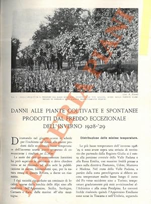 Danni alle piante coltivate e spontanee prodotti da altre due eccezionali dell'inverno 1928-29.