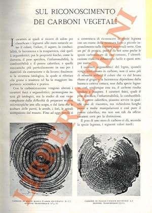 Sul riconoscimento dei carboni vegetali.