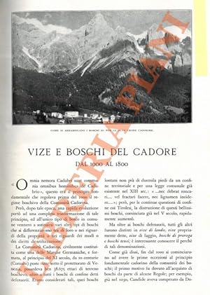Bild des Verkufers fr Vize e boschi del Cadore dal 1000 al 1800. zum Verkauf von Libreria Piani