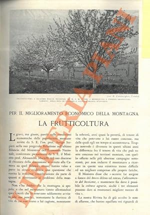 Per il miglioramento economico della montagna. La frutticoltura.