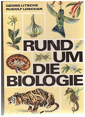 Seller image for Rund um die Biologie for sale by Bcherpanorama Zwickau- Planitz