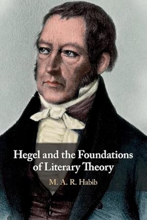 Bild des Verkufers fr Hegel and the Foundations of Literary Theory zum Verkauf von AHA-BUCH GmbH