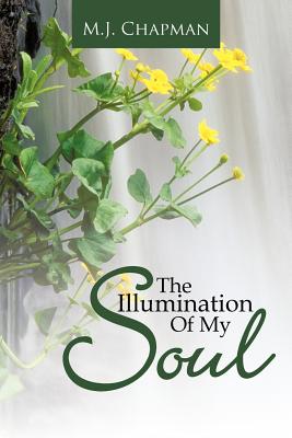 Seller image for The Illumination of My Soul (Paperback or Softback) for sale by BargainBookStores