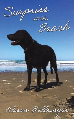 Seller image for Surprise at the Beach (Paperback or Softback) for sale by BargainBookStores