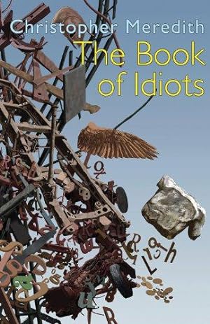 Bild des Verkufers fr The Book of Idiots zum Verkauf von WeBuyBooks