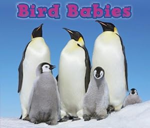 Bild des Verkufers fr Bird Babies (Animal Babies) zum Verkauf von WeBuyBooks