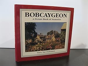 BOBCAYGEON A PICTURE BOOK OF MEMORIES