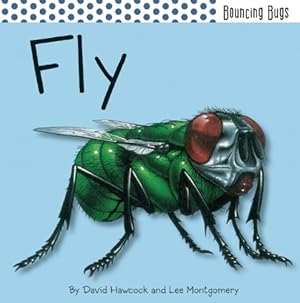Bild des Verkäufers für Fly (Bouncing Bugs) zum Verkauf von Reliant Bookstore
