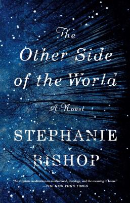 Image du vendeur pour The Other Side of the World (Paperback or Softback) mis en vente par BargainBookStores