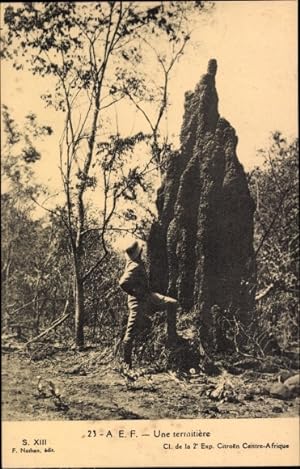 Ansichtskarte / Postkarte Une termitiere, Mann neben Termitenbau