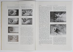 Bild des Verkufers fr Magnuseffekt und Windkraftschiff (pp.93-108, 30 Abb.). *) zum Verkauf von Antiq. F.-D. Shn - Medicusbooks.Com
