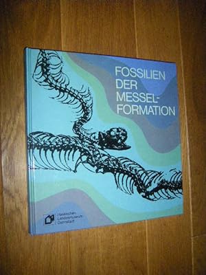 Fossilien der Messel-Formation