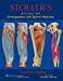 Immagine del venditore per Stoller's Atlas of Orthopaedics and Sports Medicine venduto da Pieuler Store