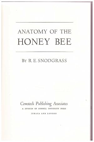 Anatomy of the Honeybee