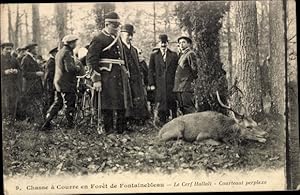 Ansichtskarte / Postkarte Chasse a Courre en Foret de Fontainebleau, Le Cerf Hallali, Courteaut p...