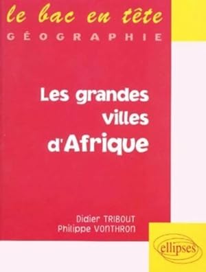 Les grandes villes d'Afrique - Didier Tribout