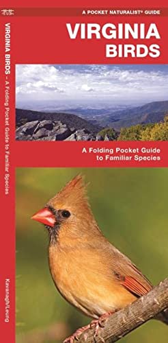 Seller image for Virginia Birds: A Folding Pocket Guide to Familiar Species (Pamphlet) for sale by Pieuler Store