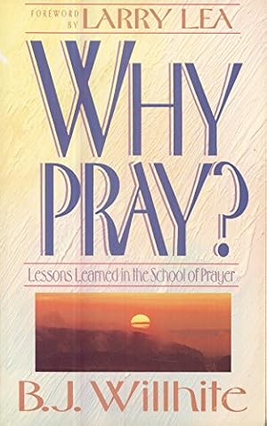 Imagen del vendedor de Why Pray: Lessons Learned in the School of Prayer a la venta por Pieuler Store