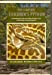Image du vendeur pour Complete Children's Python : A Comprehensive Guide to the Natural History, Care, and Breeding of Antaresia species mis en vente par Pieuler Store