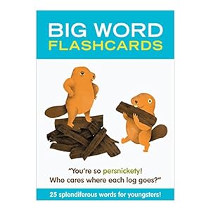 Seller image for Knock Knock Big Word Flashcards for sale by Pieuler Store