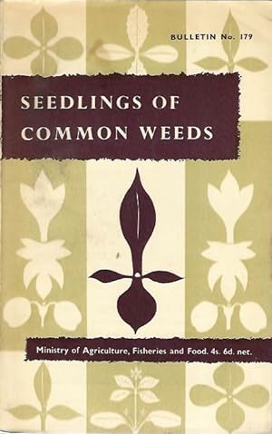 Seedlings of Common Weeds