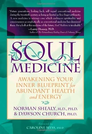 Bild des Verkufers fr Soul Medicine: Awakening Your Inner Blueprint For Abundant Health and Energy zum Verkauf von Pieuler Store