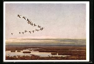 Bild des Verkufers fr Knstler-Ansichtskarte Gnse beim Formationsflug im Morgengrauen zum Verkauf von Bartko-Reher