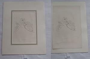 Seller image for alter Stich - Group IV (2 Engel halten Bildnis von Maria Christina Austria) for sale by Versandhandel fr Sammler