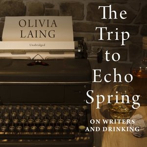 Seller image for Trip to Echo Spring : On Writers and Drinking, Library Edition for sale by GreatBookPrices