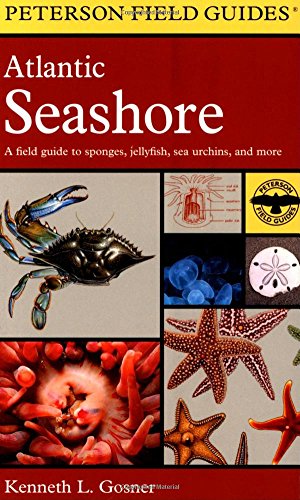 Seller image for A Field Guide to the Atlantic Seashore: From the Bay of Fundy to Cape Hatteras (Peterson Field Guide) for sale by Pieuler Store