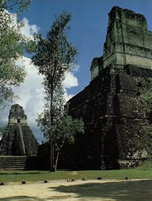 Bild des Verkufers fr LAMINA V18272: Panoramica frontal de la Acropolis de Tikal zum Verkauf von EL BOLETIN