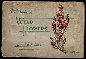 Seller image for An Album of Wild Flowerrs for sale by Lazy Letters Books