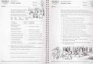 Bild des Verkufers fr Password English: Homework Stage 4 - Photocopiable Activities for Use at Home zum Verkauf von WeBuyBooks