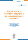 Seller image for Adaptacin de la normativa tributaria a las nuevas realidades familiares for sale by AG Library