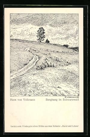 Bild des Verkufers fr Knstler-Ansichtskarte Hans von Volkmann: Berhang im Schwarzwald zum Verkauf von Bartko-Reher