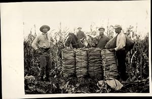 Bild des Verkufers fr Foto Ansichtskarte / Postkarte Argentinien, Deutsche Auswanderer, Maisernte 1928 zum Verkauf von akpool GmbH