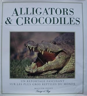 Alligators et crocodiles