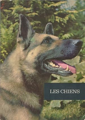 Les chiens