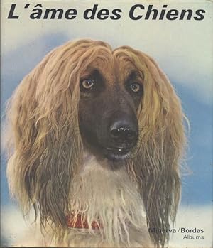 L'âme des chiens